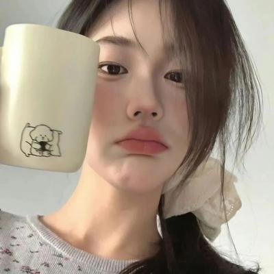 如翼之舟